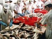 Bóng đá anh, ngoại hạng anh, lịch thi đấu euro 2012, Cá tra Việt Nam ra khỏi danh sách đỏ của WWF tại châu Âu